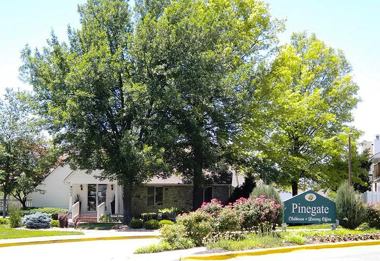 Pinegate — Photo 19