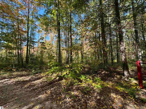 0 Cranberry Lake Rd, Prescott, MI 48756