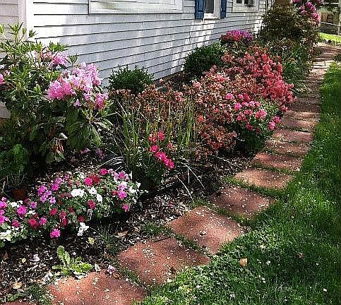 Take a walk in May