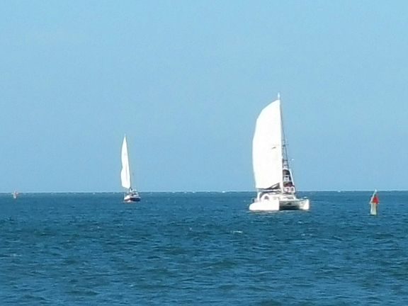 Flagler Beach  Sailing 

