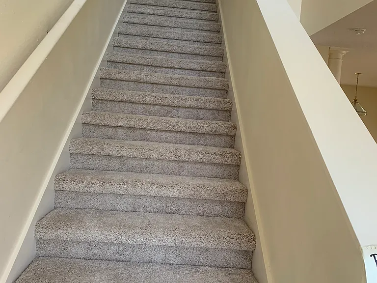 4459 Cherry Branch Ct — Photo 22