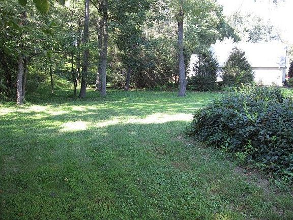 Wooded backyard