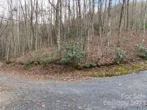 7 Red Wolfe Dr, Whittier, NC 28789