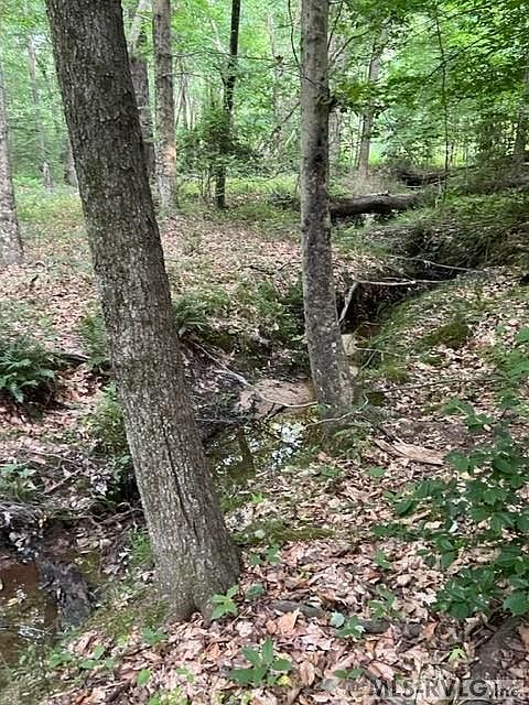 401 Bright Rd, White Plains, VA 23893 | Zillow