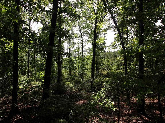 5th image of 0 Baylor House Rd