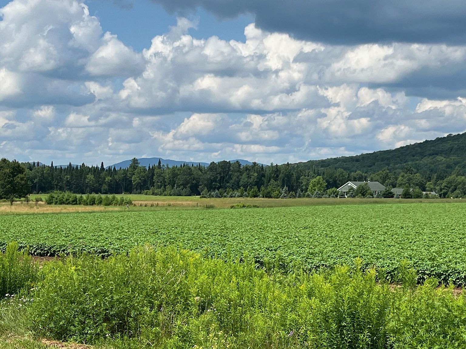 18 Tansy Ln, Gabriels, NY 12939 MLS 202404 Zillow