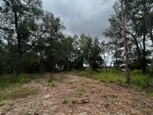 0 NW 62nd Pl, Bell, FL 32619