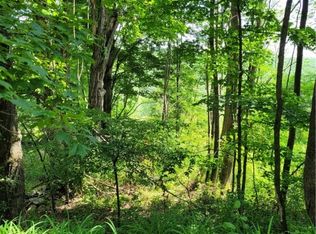 0 Hinman Rd, Unadilla, NY 13849