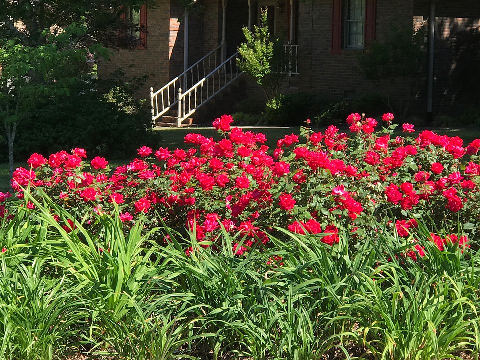 Beautiful corner lot ....