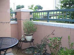 1st image of 330 Las Colinas Blvd #136