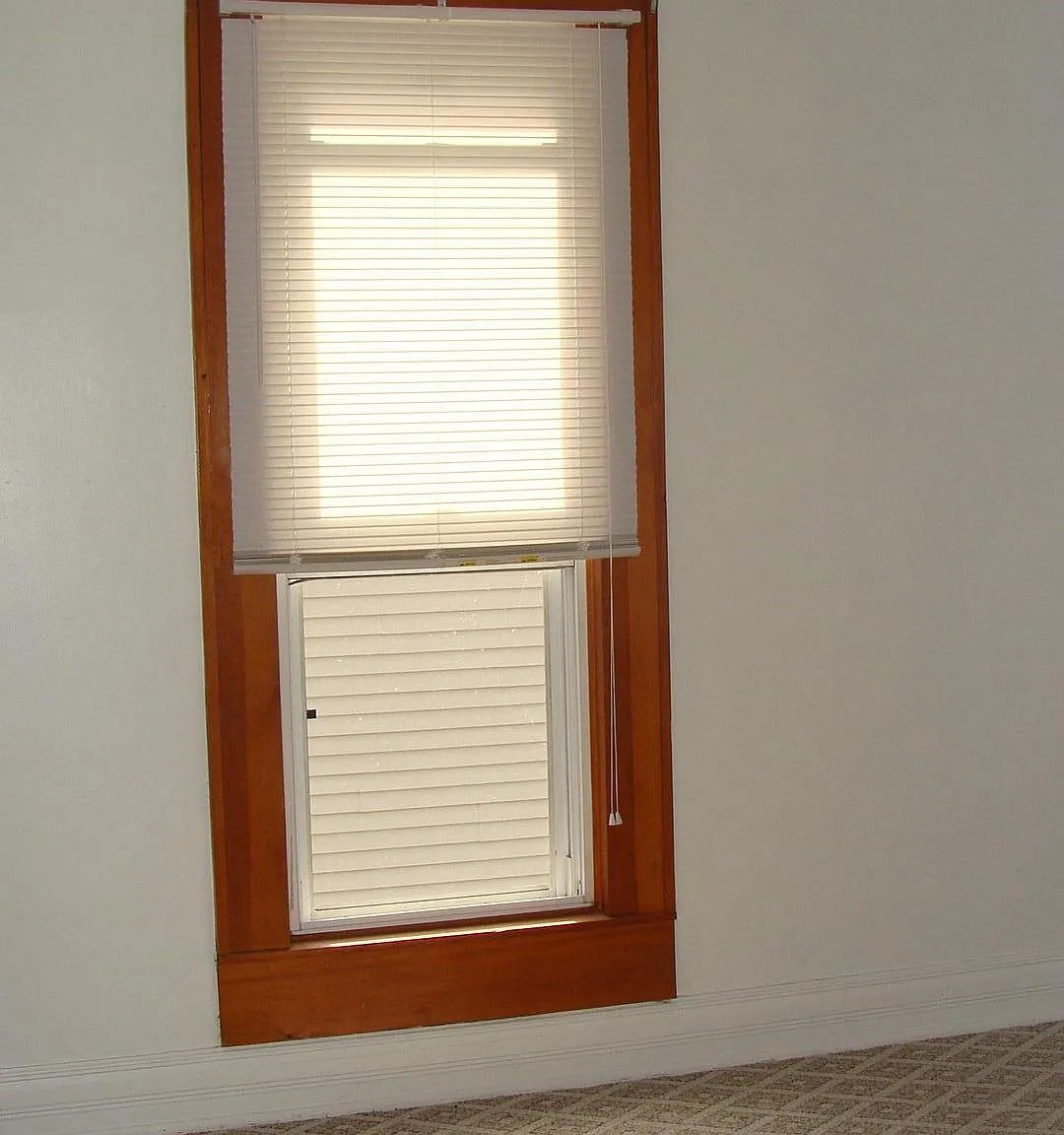 1 bed, $800 — Photo 3