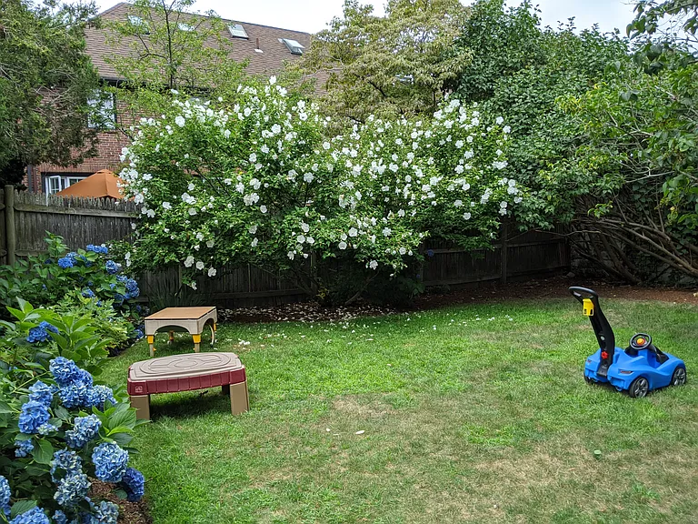 28 Lewis Rd #1 — Photo 2