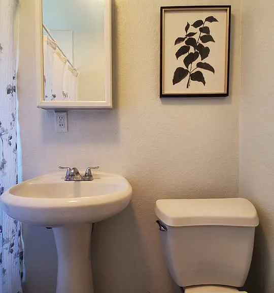 114 Treasure Dr — Photo 9