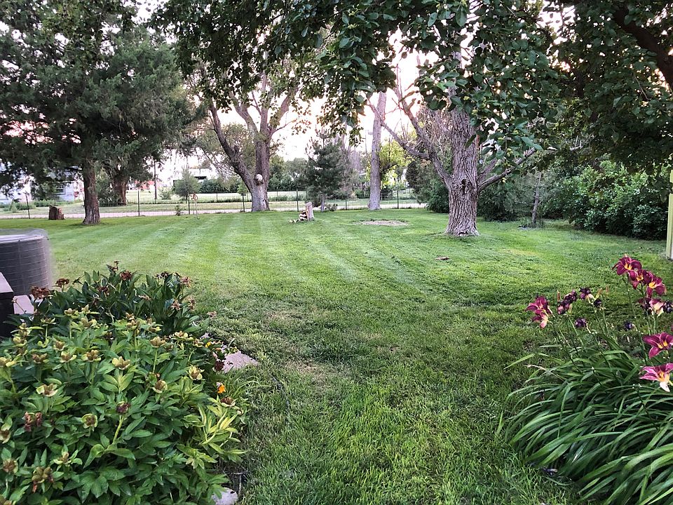 North side yard looking west