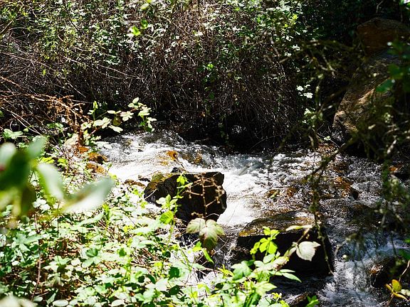 5th image of 15806 Perimeter Rd