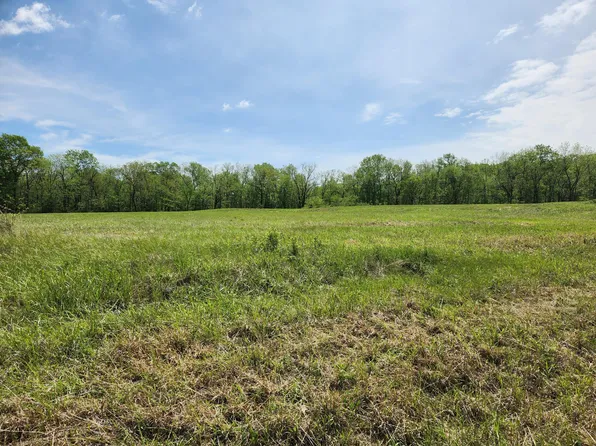 000 River Pass Drive Lot 4 Phase 2, Marshfield, MO 65706