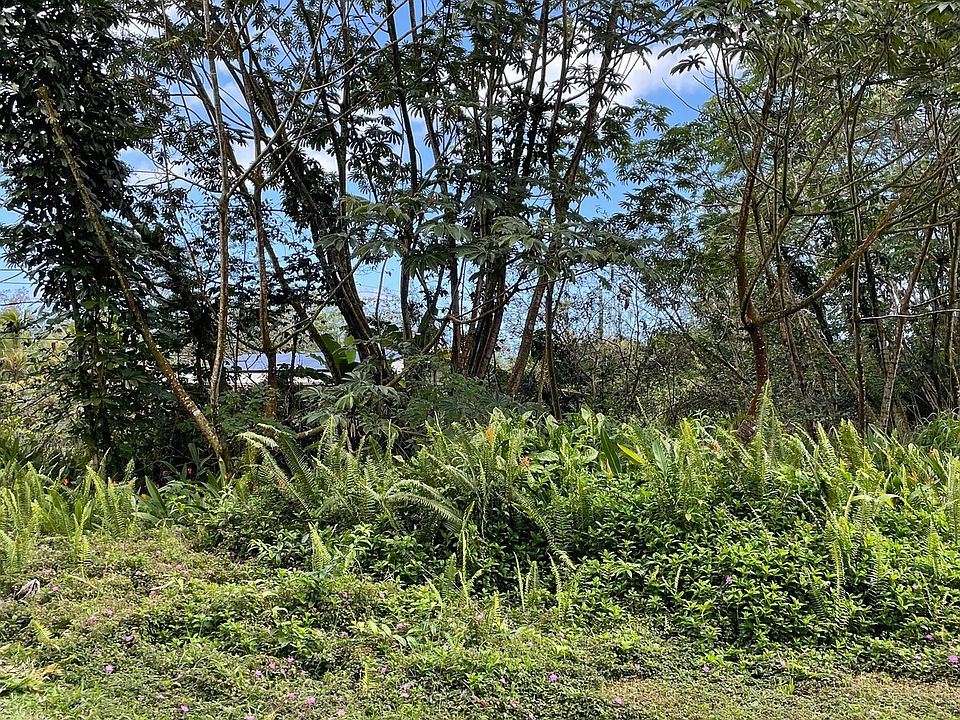 1st image of Manalo St Lot 1113