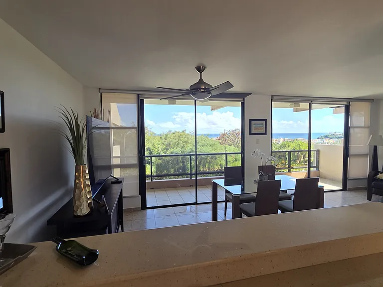 A18 La Jolla Palmas Del Mar Dr — Photo 14