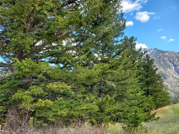 LOT 116 Forest Trl, Nye, MT 59061