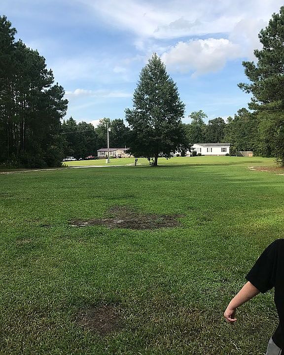 2nd image of 117 Woodleaf Ln