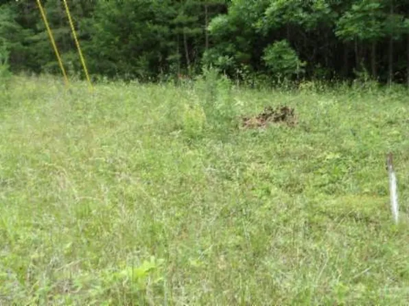 LOT 48 Parkstown Extension Rd, Wilder, TN 38589