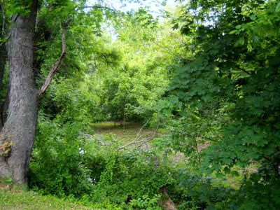 0 Junior Ave, Shenandoah, VA, 22849