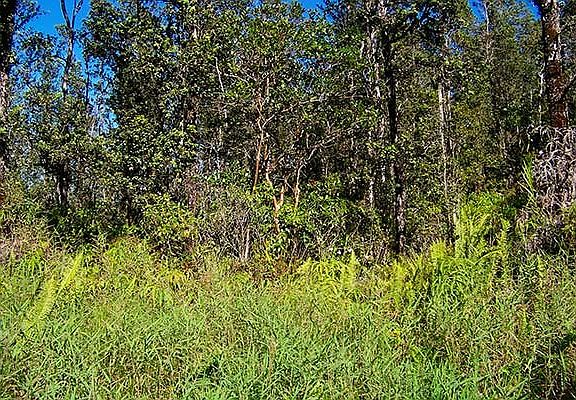 4th image of 40th St Lot 63