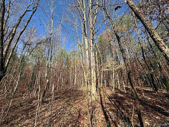 3rd image of /oak Grove Rd