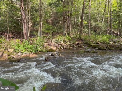 Spring Lick Rd, Swanton, MD, 21561