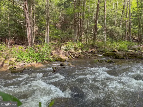 Spring Lick Rd, Swanton, MD 21561