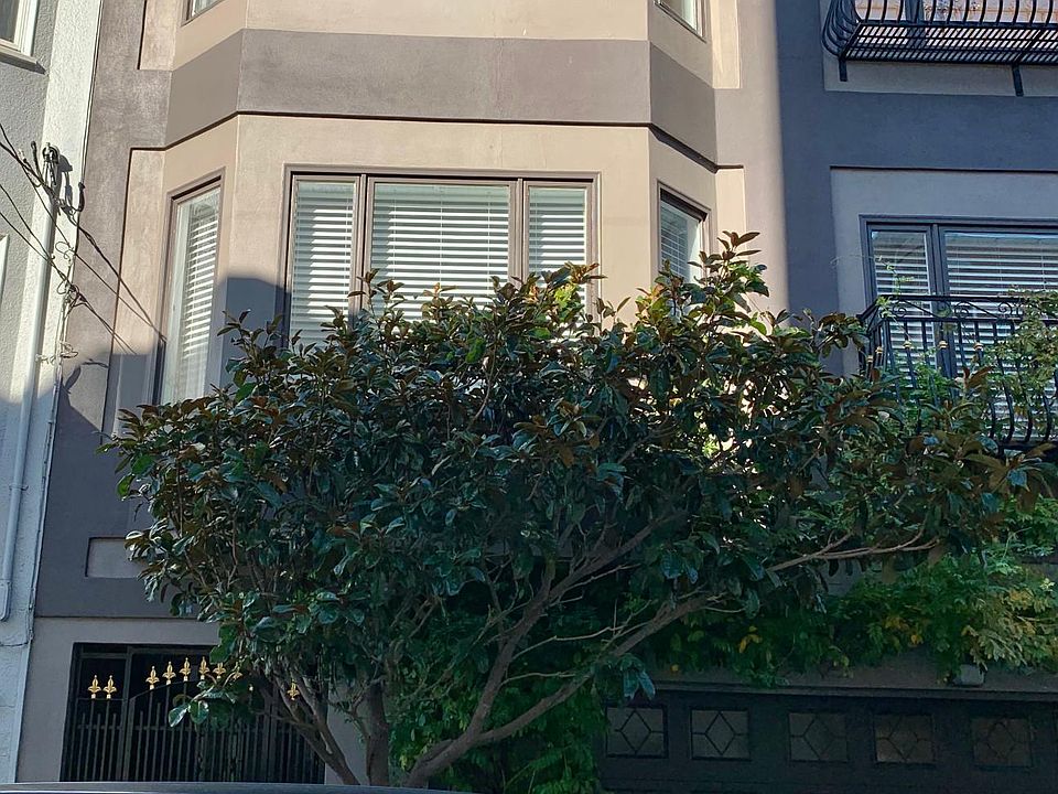 1st image of 172 Pixley St