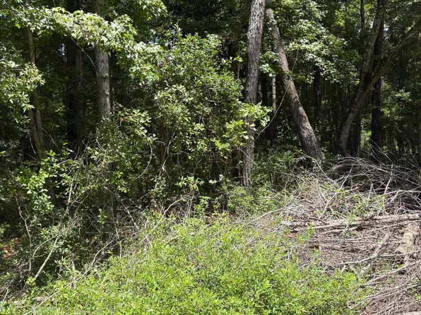 0 University Dr Lot 223, North Charleston, SC 29418