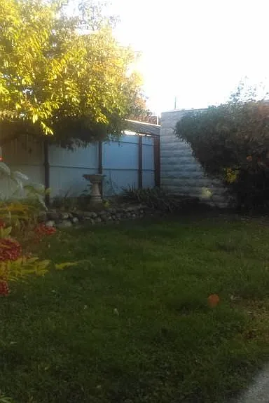 Backyard/Garden