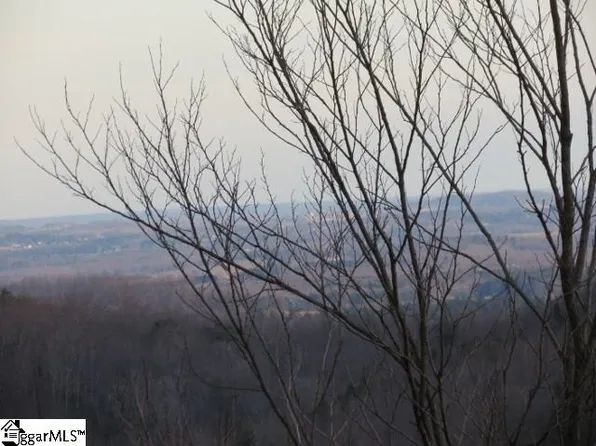 328 Foggy Cut Ln, Landrum, SC 29356