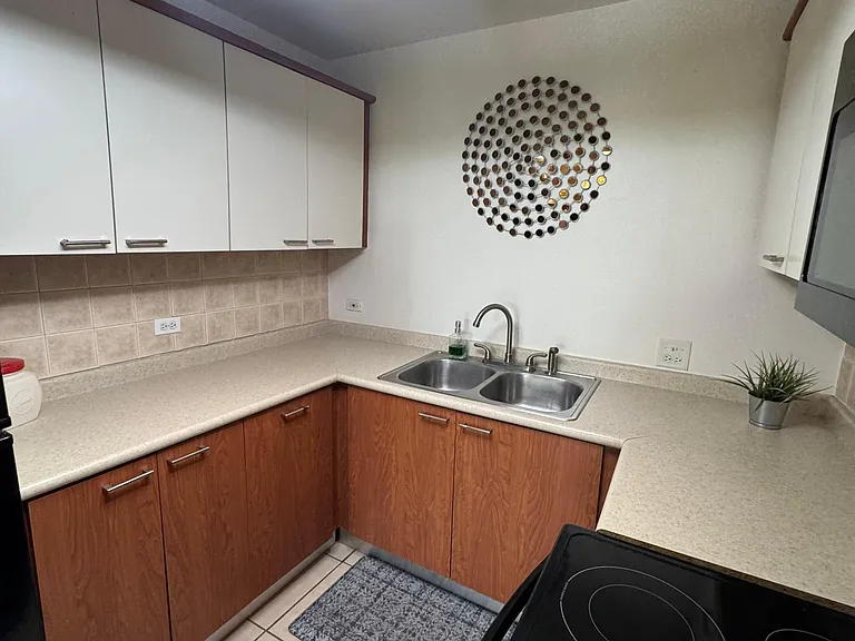 1304 Condominio Flamingo Bayamon #1304 — Photo 10