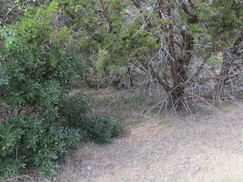 2nd image of 16053 Salado Dr