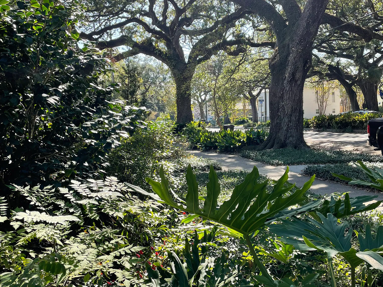 Ursulines Ave, New Orleans — Photo 2