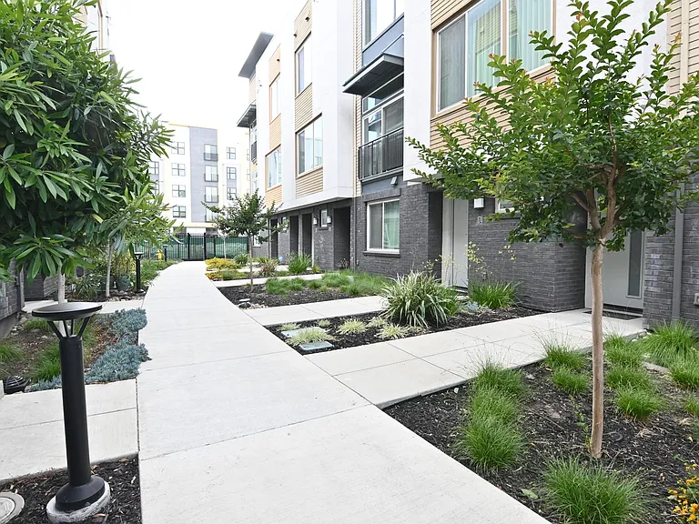 182 Nexus Loop — Photo 22