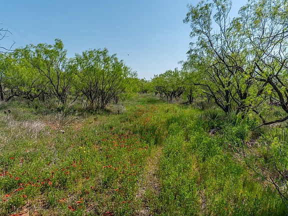 Sweetwater Land For Sale with Owner Financing Available