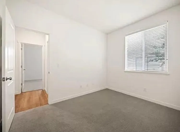 536 Spyglass Cir — Photo 5