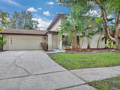 4604 Buckeye Rd, Tampa, FL, 33624