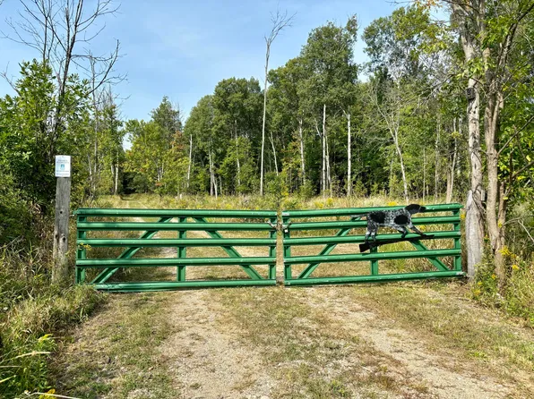 Johnson Rd, Kaleva, MI 49645