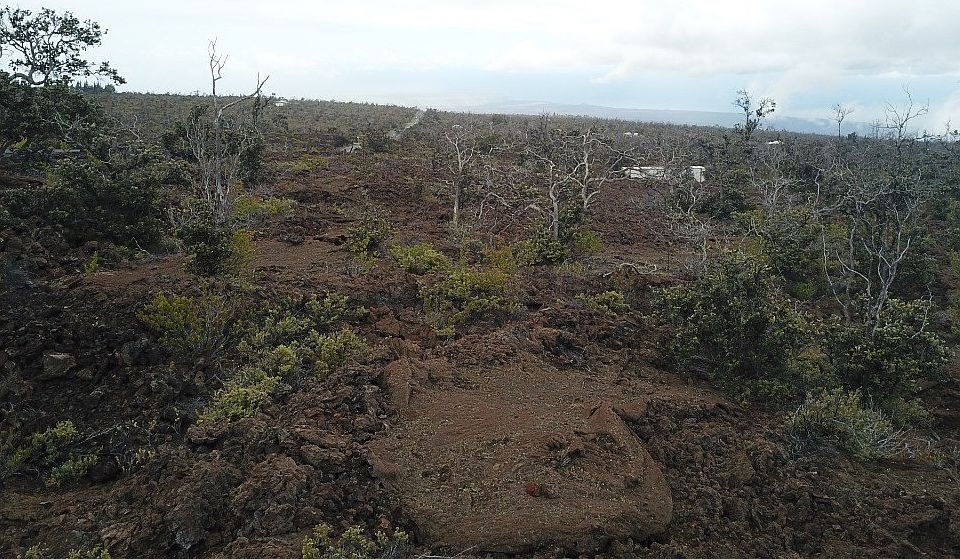 1st image of Lot 12