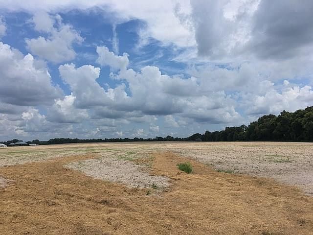 1st image of 38 Acres NW County Road 340