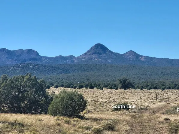 232 Six Shooter Trail #232, Williams, AZ 86046