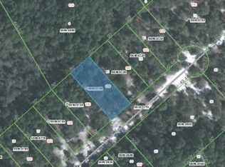 158 Ferncreek Dr, Georgetown, FL 32139