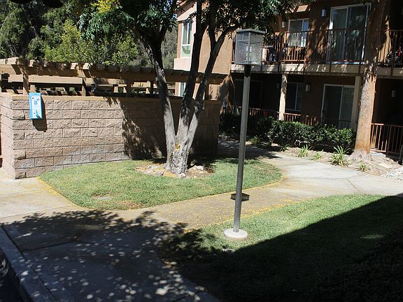 Pet Friendly Community