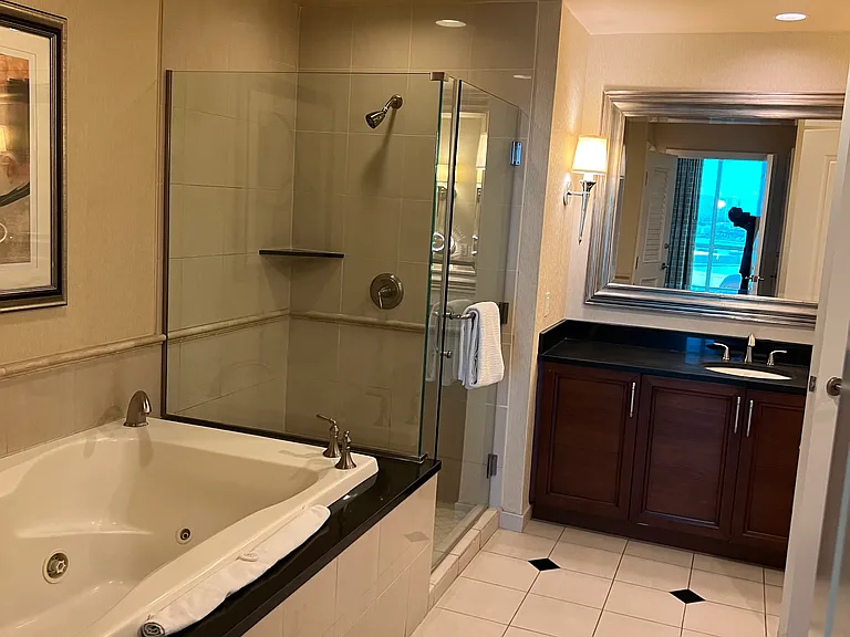 145 E Harmon Ave #12602 — Photo 10