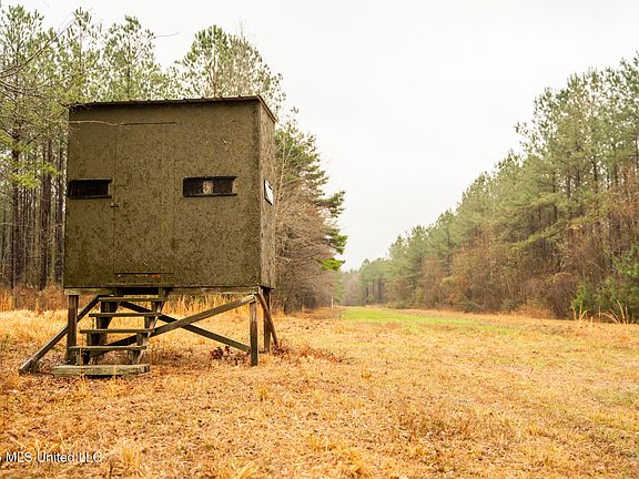 5th image of County Road 8