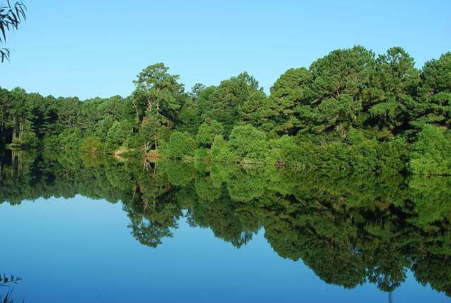 2nd image of 187 Spring Island Dr